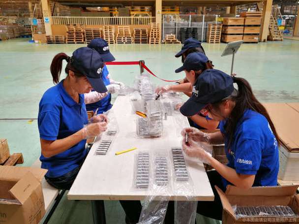 沈阳恩赛威斯 信息技术咨询服务的领航者